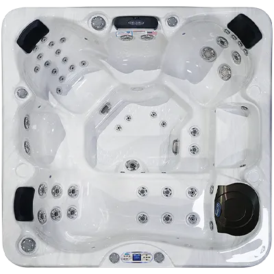 Avalon EC-849L hot tubs for sale in Hesperia